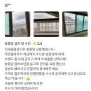 대동다숲 | 부산방충망 부곡 대동다숲 미세방충망 교체 후기