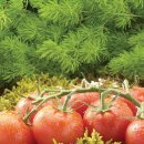 귀천농장 이미지