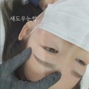 마스터바니포항 | 포항 눈썹수강 ,여자섀도우눈썹,자연스러운눈썹 잘하는곳 포항바니