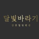 달빛바라기 이미지