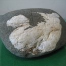 양*석 - 가평군 청군로 | 양*석