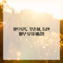압구정로데오 피부과: 이제는 '써마지'로 쫀쫀한 탄력 되찾아보세요!