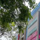 둔산로31번길 이미지