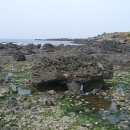 하귀안경 이미지