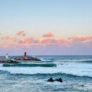 동해화장실 | 강원도 동해 묵호여행 당일치기 코스 추천 겨울바다 힐링 여행 후기