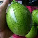 진산농장1 이미지