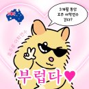 (자)비봉관광여행사 | 호주 3개월 어학연수 비용 얼마? 1000만원 대로 예산 정리!
