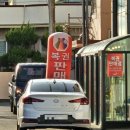세화복덩이