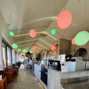 진해대로-2 | 경남 제1호 사립수목원 진해 보타닉뮤지엄 후기(입장료, 주차, 관람 포인트)