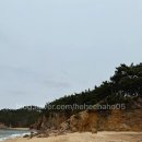 말리오션스파 이미지