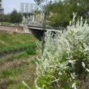 부평공업고등학교 이미지