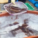 두떼수산물
