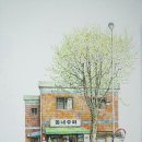 동네슈퍼 - 강릉시 | 동네슈퍼
