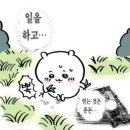 3월 일상 모음
