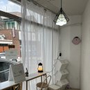 분홍 | 전주 보컬레슨, 원데이클래스 후기 ‘분홍코’