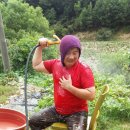 빨간기와집 이미지