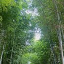 담양한의원 이미지