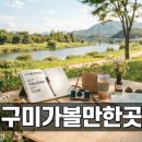 청도읍 구미강변체육시설 | 구미 여행지 베스트 코스 및 방문 전 필수 체크리스트