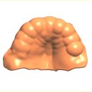 센트릭치과기공소 이미지