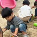 양정어린이집 이미지