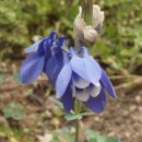 봉양농장 이미지