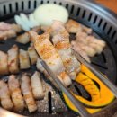 거북이동네 부산연산직영점 이미지