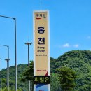 장밖휴게소 | 홍천양양휴게소 사람 실화냐? 자리부터 잡으세요 휴게소맛집 내돈내산