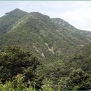 어진이네민박 이미지