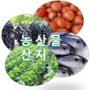 [깨끗한 세상 신아유통] 식자재 직거래 납품