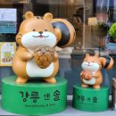 강릉앤솔