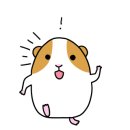 더홀릭보드게임카페수유역점