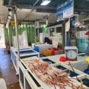 영덕시장 | 요즘 철인 대게 솔직 후기 | 영덕 강구항 대게 시장