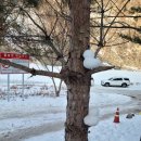 리버뷰소나무펜션 이미지