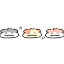 교동청수옥