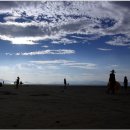 독도꽃새우 이미지