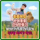 대한농장 | 아이 눈높이 맞춤! 경기 여주 주주팜 동물농장 숲 체험학습 후기 총정리