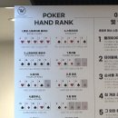 위너스 홀덤