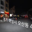 돼지로1985 이미지