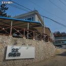 낙지아줌마