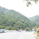 무릉계곡 이미지
