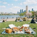왕산1 | [정보/여행] 2026 여의도 한강공원 피크닉 완벽 가이드 ㅣ 주차·돗자리·배달존·라면까지 한 번에 정리