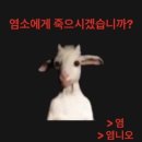 1~3월