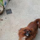 힘찬농장 이미지