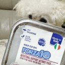 한끼니 | 🐾 끼니마다 건강 한 캔! 포르자10 액티웻 주식캔 후기