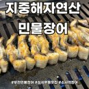 지중해자연산민물장어 이미지