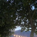 힐링카라반 | 거제 글램핑 추천, 자연 속 힐링 여행 감성카라반 후기