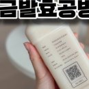 발효공방은하루