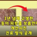 평생피부과동물병원 이미지