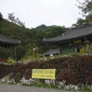 양양명주사부도군 Daum카페