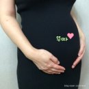 (주)평택항 현대서비스 | 현대해상 태아보험 사은품 카시트 현금 후기